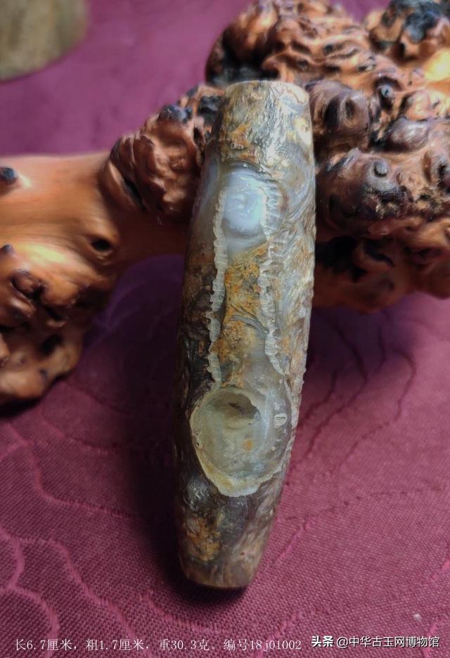 罕见珍贵奇特—西藏法螺真天珠上竟有象形“阳器”图案，自然造化